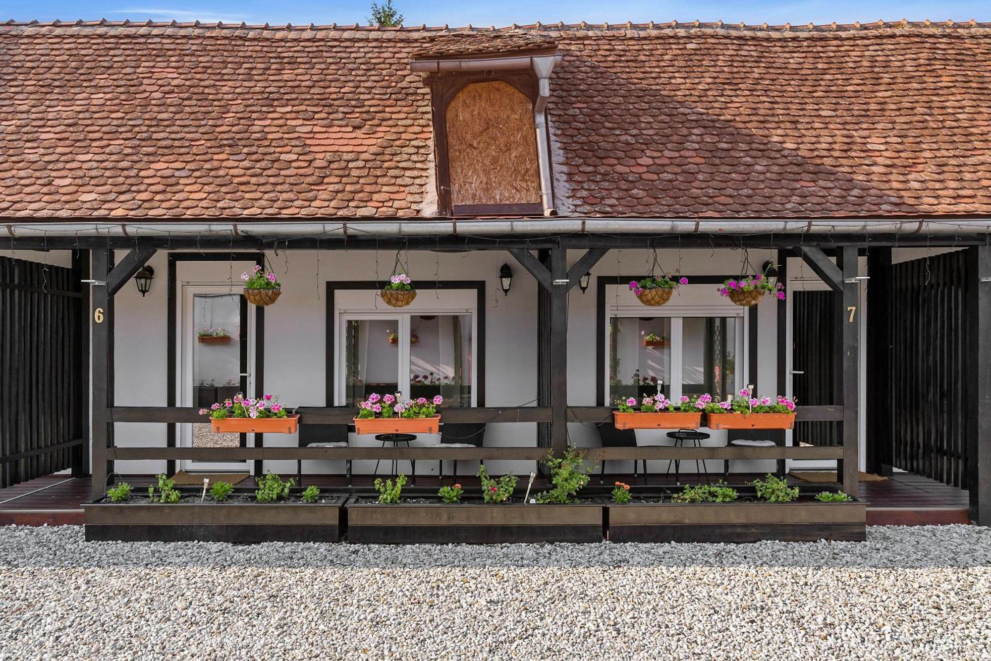 Pensiunea Alina "Adults Only" Sibiu Bagian luar foto