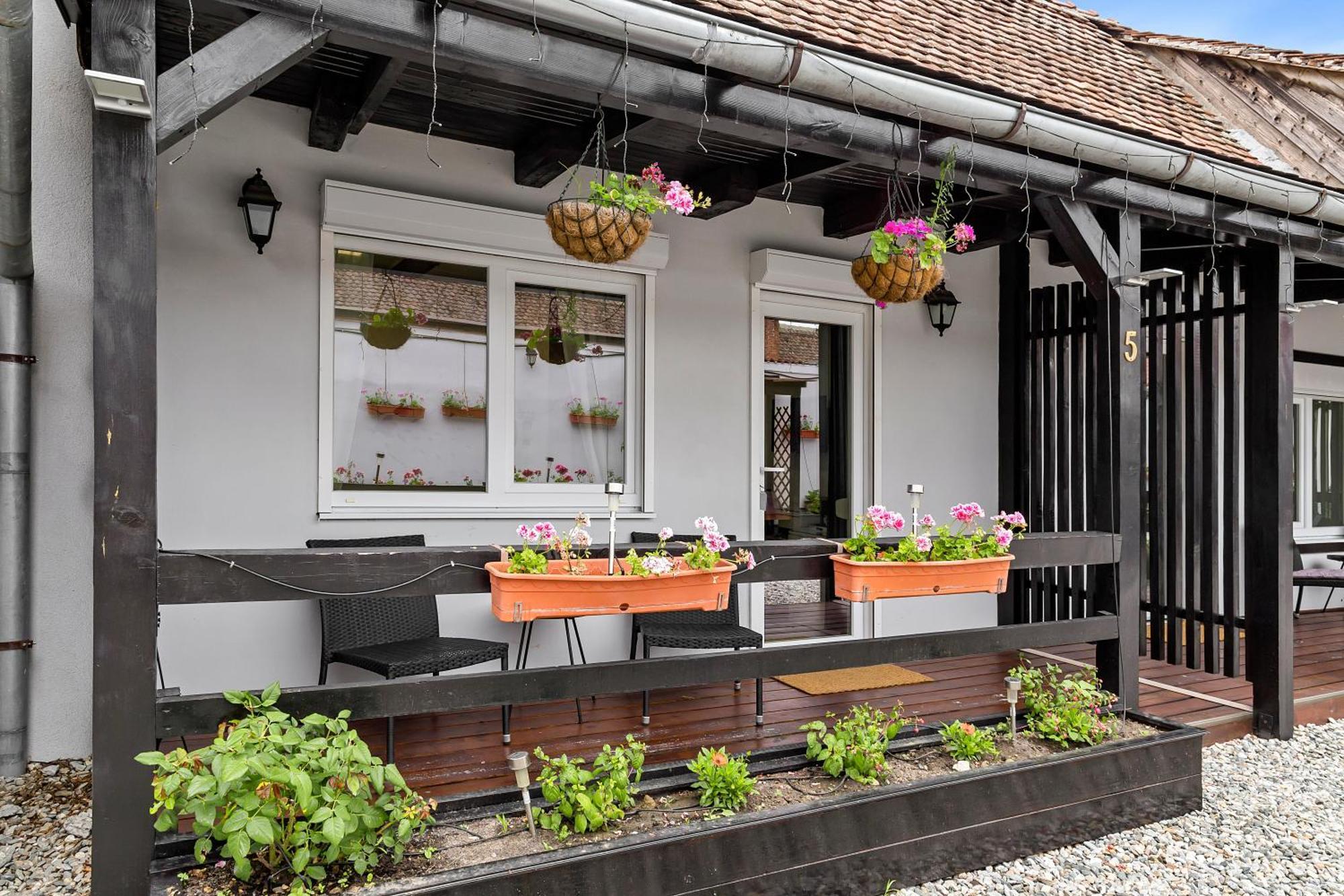 Pensiunea Alina "Adults Only" Sibiu Bagian luar foto